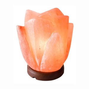 Lampe en forme de fleur en sel rose de l'Himalaya, éclairage décoratif artisanal Feng Shui, fournisseur OEM pour l'exportation - Product Image 1