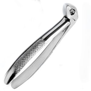 Forceps dentaires n°33 pour extraction dentaire, en acier inoxydable chirurgical, outil réutilisable, équipement professionnel, vente en gros, extraction dentaire - Product Image 1