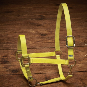 Nouvelle Lanière de Cheval 2026 de Haute Qualité, Style Selle Western, en Nylon PP, Confort Supérieur, Logo Personnalisé, Lanière de Cheval en Nylon - Product Image 5