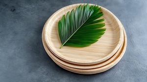 Assiettes en feuilles de palmier robustes et écologiques pour la restauration en gros, 10 pouces, formes rondes, vaisselle <span class=keywords><strong>biodégradable</strong></span> pour le dîner - Product Image 2