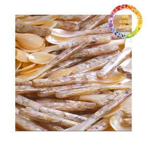 Luxury Natural Shell <b>Spoon</b> Handmade Mother of Pearl <b>Coffee</b> <b>Spoon</b> OEM Private Label Wholesale - Product Image 6