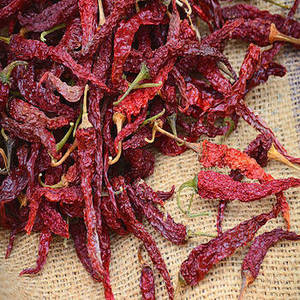 Piment rouge séché de qualité supérieure, entier, séché à l'air (AD), sans tige, norme d'exportation, épices simples, herbes, FitTree International - Product Image 1