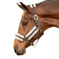 Vente en gros de licou de cheval en nylon entièrement réglable de qualité supérieure avec rembourrage en polaire confortable