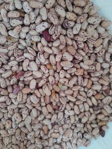 Frijoles Rojos Secos de la Marca CREKS del Noreste de China, a Granel, 250 kg, Premium para Papillas y Comidas Integrales, Nueva Cosecha, 2 Años de Duración - Product Image 5