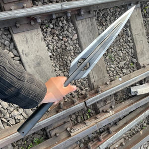 Lanza Vikinga Hecha a Mano con Hoja de Acero Forjado para Lanzamiento - Product Image 2