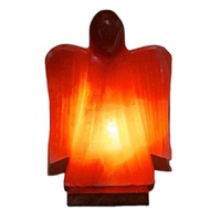 Lampes au sel de roche rose de l'Himalaya en forme d'aigle les plus vendues Fabricant et vente en gros de lampes au sel rose de l'Himalaya du Pakistan