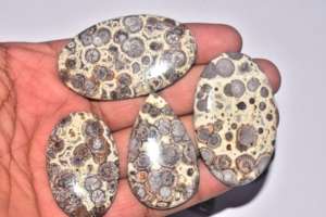 Cabujones de Jaspe Asteroides de Grado Premium para Joyería - Product Image 3