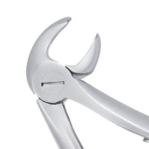 Forceps d'extraction pédiatriques 2C pour molaires inférieures, en acier inoxydable, instrument chirurgical dentaire pour l'extraction des dents, chirurgie buccale - Product Image 5