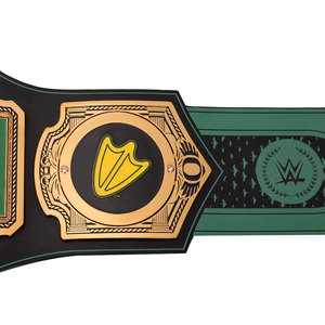 Ceinture de championnat personnalisée FITLER SPORTS Oregon Ducks pour le style Legacy, en cuir, avec plaques en laiton pour la lutte poids lourd, 2,5 kg - Product Image 5