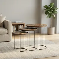 Ensemble de tables d'appoint rondes en bois modernes avec cadre en métal noir, meubles rustiques pour salon