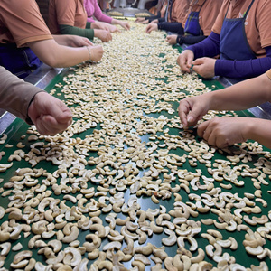 Nueces de Anacardo Crudas Comestibles Directamente de Fábrica, WW180 WW210, Humedad Inferior al 4.8%, de Vietnam, con Empaque Personalizado - Product Image 1