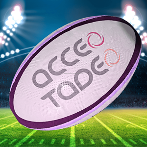 Ballon de rugby d'entraînement en caoutchouc synthétique Logo personnalisé pour les clubs Activités promotionnelles match ballons de rugby - Product Image 5