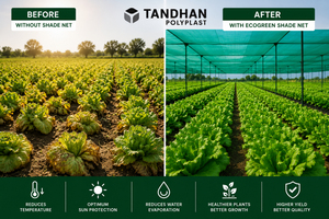 Malla de Sombreado Agrícola TANDHAN POLYPLAST EcoGreen, Protección UV, HDPE Virgen, Anti-Granizo, Tamaños Personalizados - Product Image 3