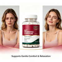 Capsules Énergétiques Probiotiques OEM Formule 10-en-1 Gestion Intestinale Adulte 90 Capsules/Flacon Services Marque Blanche Fournisseur Or