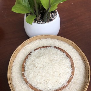 Riz Jasmin Vert de Rizière du Vietnam, Blanc, Parfumé, Aromatique, Long Grain, Séché, Dur, Toutes Tailles, Vente en Gros - Product Image 3