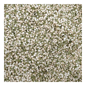 Best price Dried jasmine flower selected whole buds for <b>bubble</b> tea <b>toppings</b> and sachet filling, low-moisture floral material - Product Image 5
