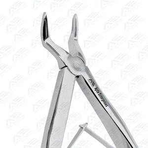 เครื่องมือถอนรากฟันเด็กคุณภาพสูงสำหรับฟันบน  คีมถอนฟันกรามบนและล่าง - Product Image 5