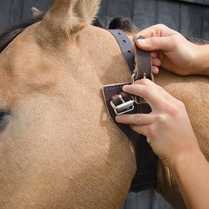 Opciones de Empaque Personalizado: Cabestros Ecuestres de Cuero Genuino Cómodos para Montar a Caballo - Product Image 2