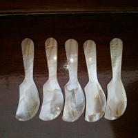 Couteau en nacre blanche, cuillères en coquillage écologiques, style traditionnel vietnamien et européen, pour servir le caviar, cadeau d'affaires HUONG