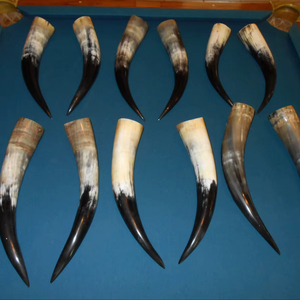 Par de Cuernos de Búfalo Pulidos para Decoración de Pared, Diseño Art Deco, Grandes de 27 a 35 Pulgadas, para Bodas, Cumpleaños, Aniversarios - Product Image 1