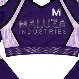 Tenues de cheerleading professionnelles et compétitives avec cristaux, strass brillants, vêtements de cheerleading All Star, ensembles à manches longues - Product Image 2