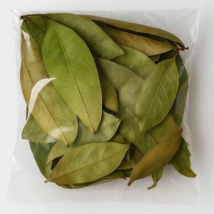 Dried Soursop Leaves Fermented Broken <b>Tea</b> Bags Brew Hot Water Organic Health <b>Tea</b> Non Sugar 25 <b>Tea</b> Bags/<b>Box</b> 50gr EXPAD CO Grade - Product Image 3