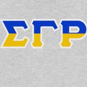 Sudadera de cuello redondo con letras de dos tonos Sigma Gamma Rho, jersey personalizado de hermandad griega, forro polar, estilo casual universitario, venta al por mayor - Product Image 5