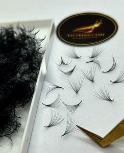 Premade Eyelash Extensions Vietnam Spike A Shape Wispy <b>Cluster</b> <b>Lashes</b> Cashmere Matte Black <b>Lash</b> Trays Wholesale - Product Image 6