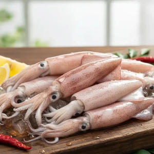 Calamar frais congelé en vrac, prêt pour l'expédition mondiale et la fourniture commerciale - Product Image 1