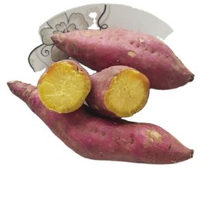 Patata dulce roja fresca/amarilla, alta calidad - Product Image 1