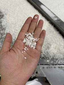 Noix de coco déshydratée du Vietnam, riche en matières grasses et faible en matières grasses – Noix de coco blanche naturelle pour la boulangerie et la confiserie - Product Image 1