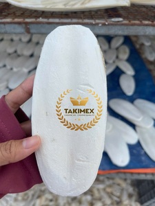 Hueso de Sepia con Alto Contenido de Calcio, Suplemento de Todos los Tamaños, 100% Natural, la Mejor Opción para sus Aves, Empaque OEM de Vietnam - Product Image 2