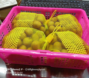 Idor Longan de alta calidad de Vietnam recién cosechado y madurado naturalmente, perfecto para exportar a Asia, Europa y EE. UU. - Product Image 4