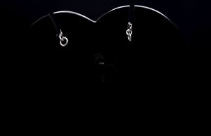 Heart Shape 925 <b>Silver</b> <b>Stud</b> Earrings with Moissanite Minimalist Unisex GRA Certified Everyday Wear Jewelry - Product Image 2