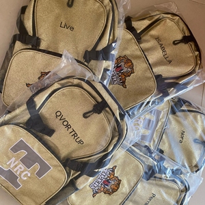 Mochila Deportiva Impermeable Premium con Lentejuelas Doradas para Animadoras, con Parches Bordados, Bolsillos Laterales de Malla, Personalizable para Equipos, Venta al Por Mayor OEM - Product Image 2