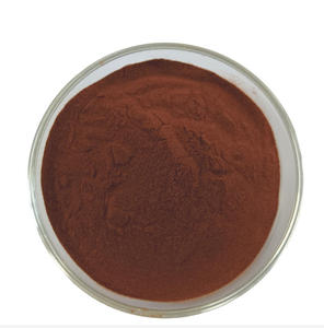 Polvo de Semilla de Dátil de Alta Calidad, Grado Alimenticio, 100% Natural, Polvo Fino de Semilla de Dátil para Mezclas de Café, Repostería y Aplicaciones Alimentarias OEM ODM - Product Image 3