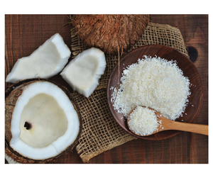 Factory Direct High Fat <b>Coconut</b> Meal - Medium Grade Desiccated <b>Coconut</b> Wholesale - Product Image 3