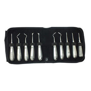 Precio Económico: 10 Elevadores Dentales Manuales de Acero Inoxidable Curvos para Extracción de Raíces, Fórceps para Extracción Dental, Instrumentos CE - Product Image 3