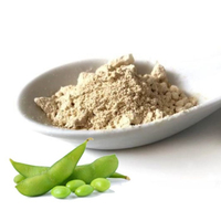 Poudre de lécithine de soja de qualité supérieure, prête à l'emploi, vente en gros, approvisionnement en vrac, qualité alimentaire premium, service OEM, fabricant F ABREU, 24 mois