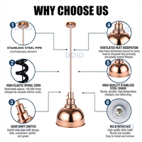 Lampe chauffante alimentaire professionnelle en acier inoxydable or rose à tête unique pour restaurants, hôtels et événements (mariages)