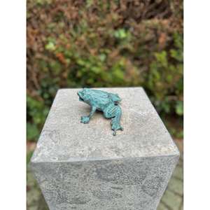 Miniature décorative en fonte de grenouille pour la décoration de jardin, finition antique, sculpture de grenouille à prix avantageux - Product Image 2