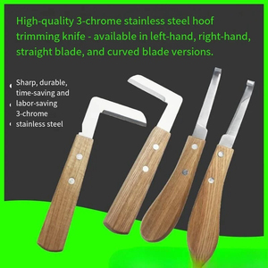 Cuchillo para Recortar Pezuñas GOLDEN (Recto y Curvo) para Ganado, Caballos y Cerdos - Herramienta Médica para el Cuidado de Animales, para Mano Derecha/Izquierda, de Acero Inoxidable - Product Image 4