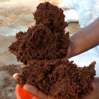 Vente en gros de blocs de fibre de coco KOPEAT 5 kg, mélange à haute rétention d'eau avec perlite et vermiculite pour l'utilisation en jardinage et en hydroponie