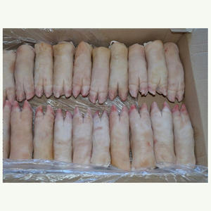 Pata trasera de cerdo de alta calidad, patas de cerdo en venta - Product Image 5