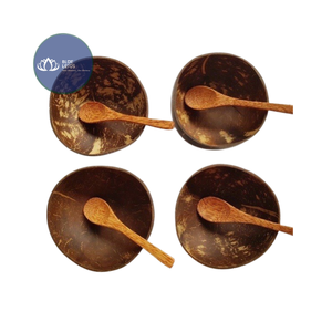 [ALTA CALIDAD] |   Tazón Ecológico de Cáscara de Coco con Acabado Liso, Venta al por Mayor, Tazón Artesanal para Cocina y Comedor, Suministros de Vietnam - Product Image 1