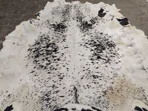 Genuine Cow Skin Leather Full Pelt Hair on Natural Black White Spotted Breathable Varsity Jacket with 100% Polyester Filling - Product Image 1