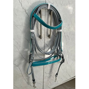 Ensemble de bridon pour cheval en PVC turquoise (Biothene) confortable et durable, avec frontale, muserolle et rênes assorties, imperméable, 4 tailles personnalisables - Product Image 1