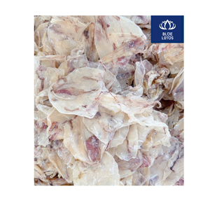 Calamar Séché de Haute Qualité, Écologique, Sous Vide, 20KG, Ferme Blue Lotus, Fruits de Mer, Soupes, Apéritifs, Vente en Gros Directe - Product Image 3