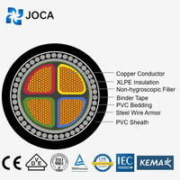 Câble d'alimentation en aluminium XLPE/PVC basse tension non blindé NA2XS(F)2Y N2XY N2XSEY N2XSY, câble ignifuge pour l'installation souterraine