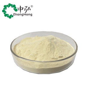 Poudre de bromélaïne de haute qualité, prix de gros, qualité alimentaire, extrait d'ananas, poudre de bromélaïne soluble dans l'eau, extrait végétal - Product Image 1